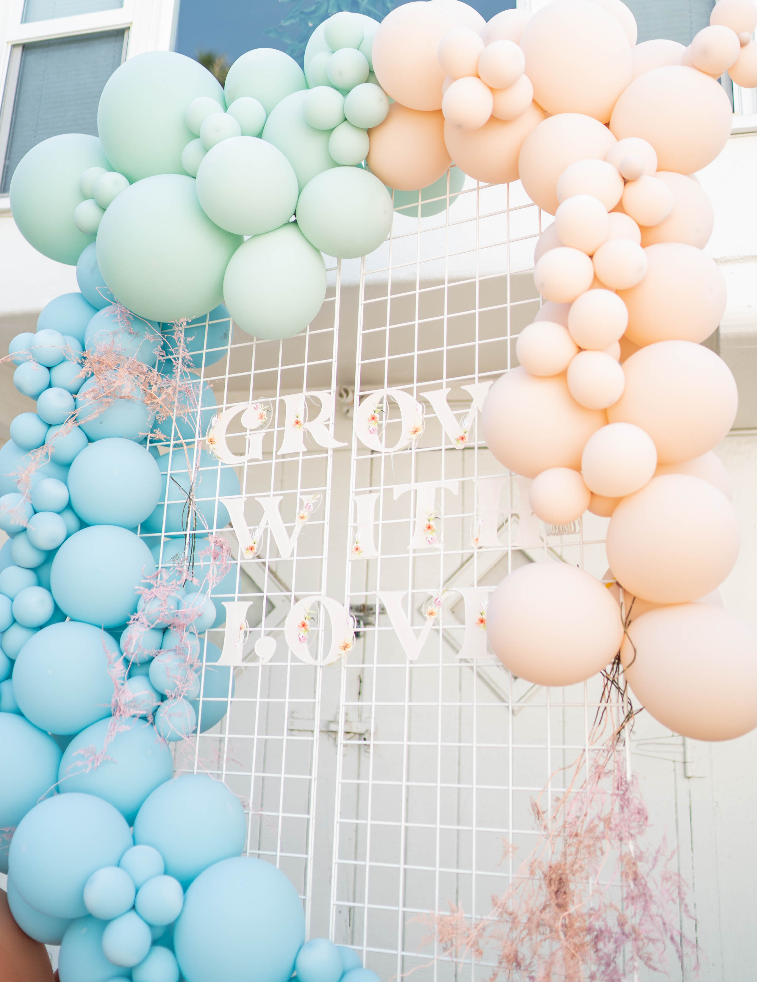 balloon backdrop
birthday inspiration
fig and whiskey
photo booth set up